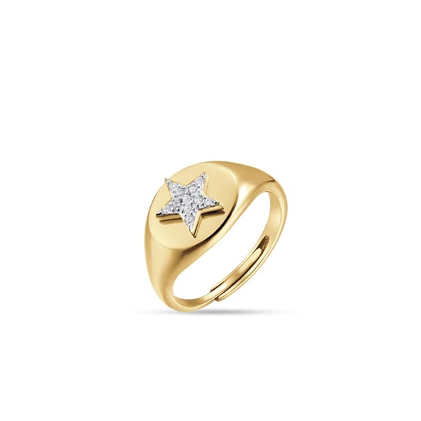 Δαχτυλίδι Αστέρι Ρυθμιζόμενο σε Επιχρυσωμένο Ασήμι και Ζιργκόν